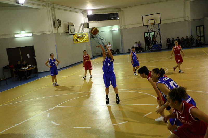 Basket 443027